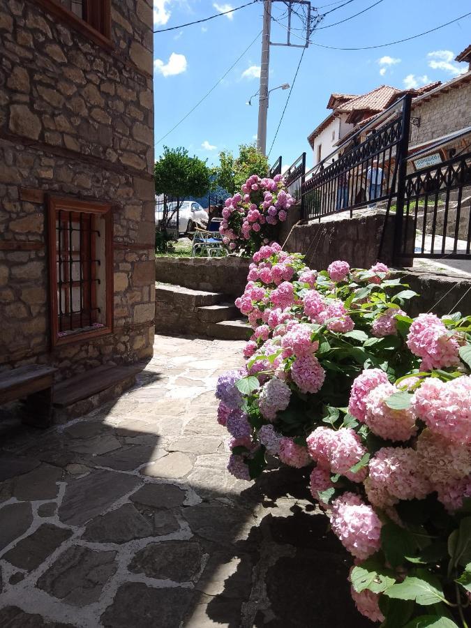 Hotel Arka Metsovo Exterior foto
