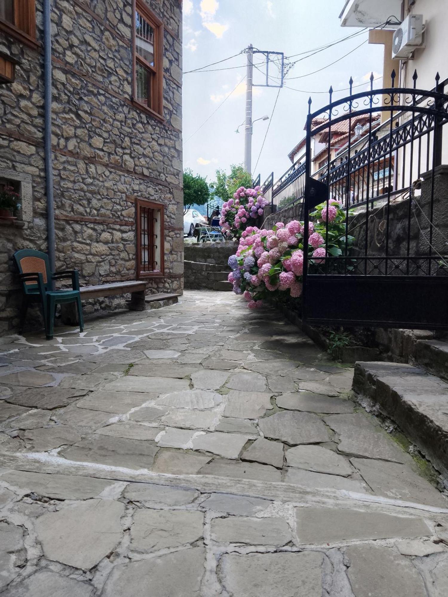 Hotel Arka Metsovo Exterior foto